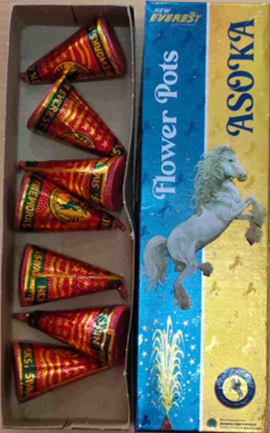 FLOWER POT ASHOKA (10Pcs)